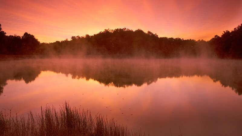 Misty Lake at Sunrise — Orange, Serene, Photograph, Trees, Sky