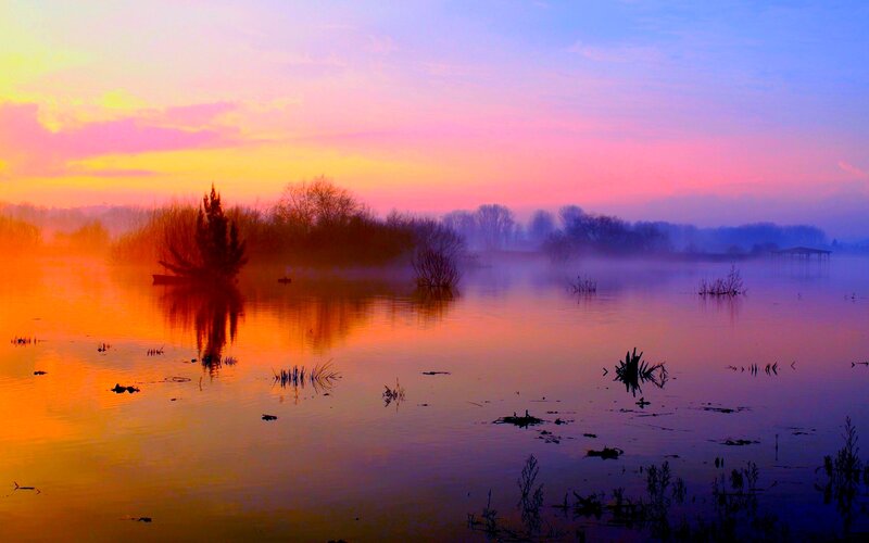 Misty Lake at Sunrise — Orange, Serene, Photograph, Trees