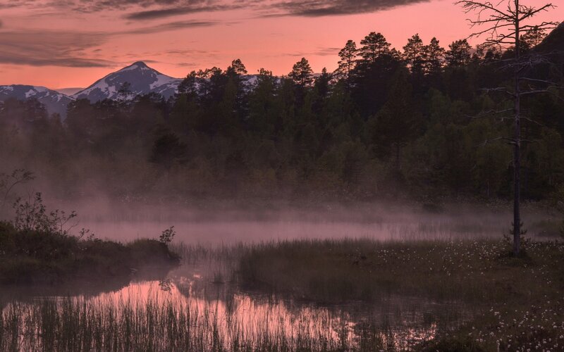 Misty Lake at Sunrise — Pink, Serene, Photograph, Mountain