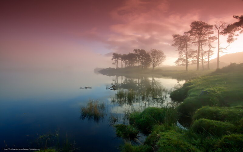 Misty Lake at Sunrise — Pink, Serene, Photograph, Trees