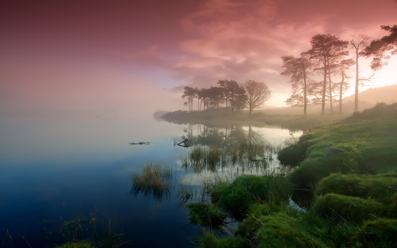 Misty Lake at Sunrise — Pink, Serene