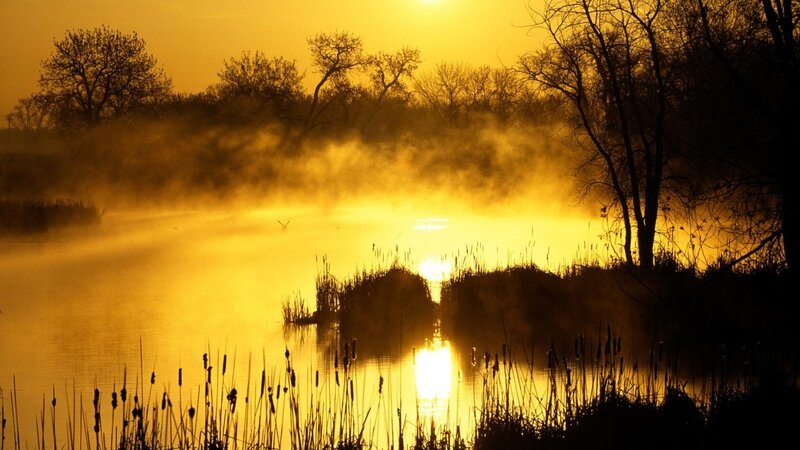 Misty Lake at Sunrise — Yellow, Serene, Photograph, Trees