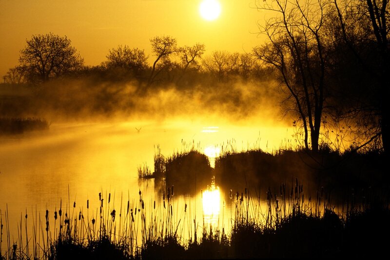 Misty Lake at Sunrise — Yellow, Serene