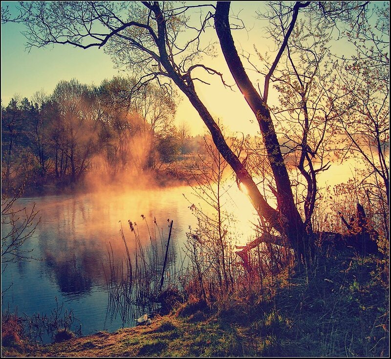 Misty Lake at Sunrise — Yellow