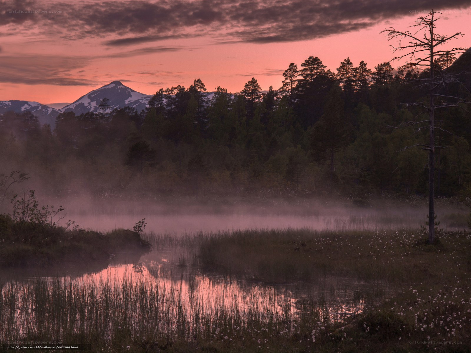 Misty lake at sunset