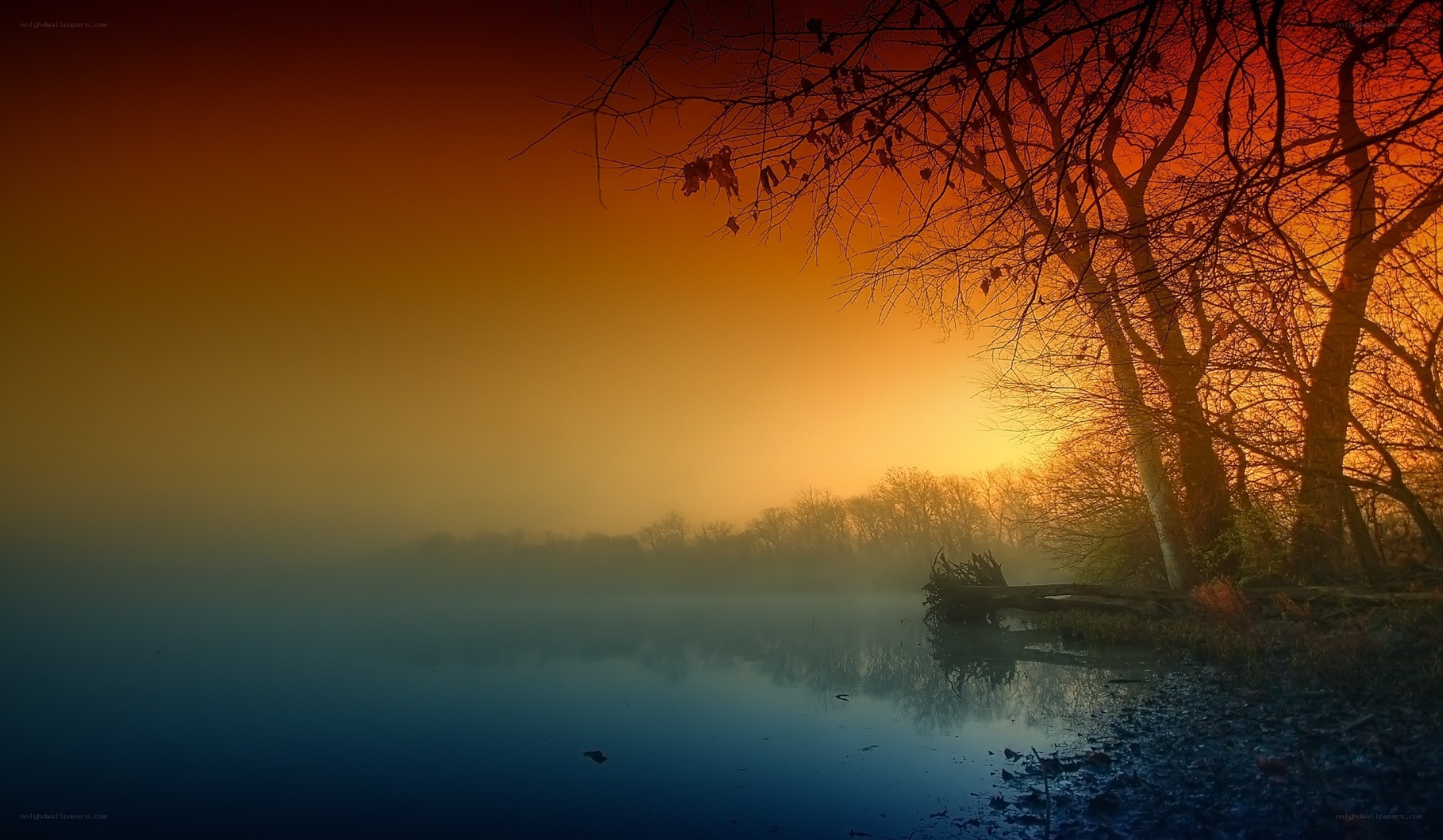 Misty lake at sunset
