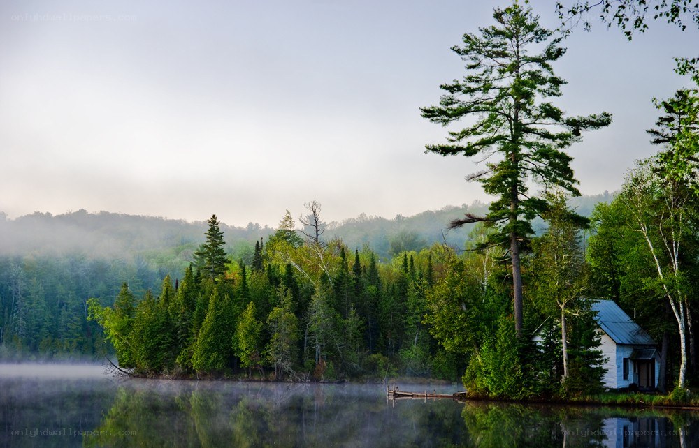 Misty lake cabin in forest