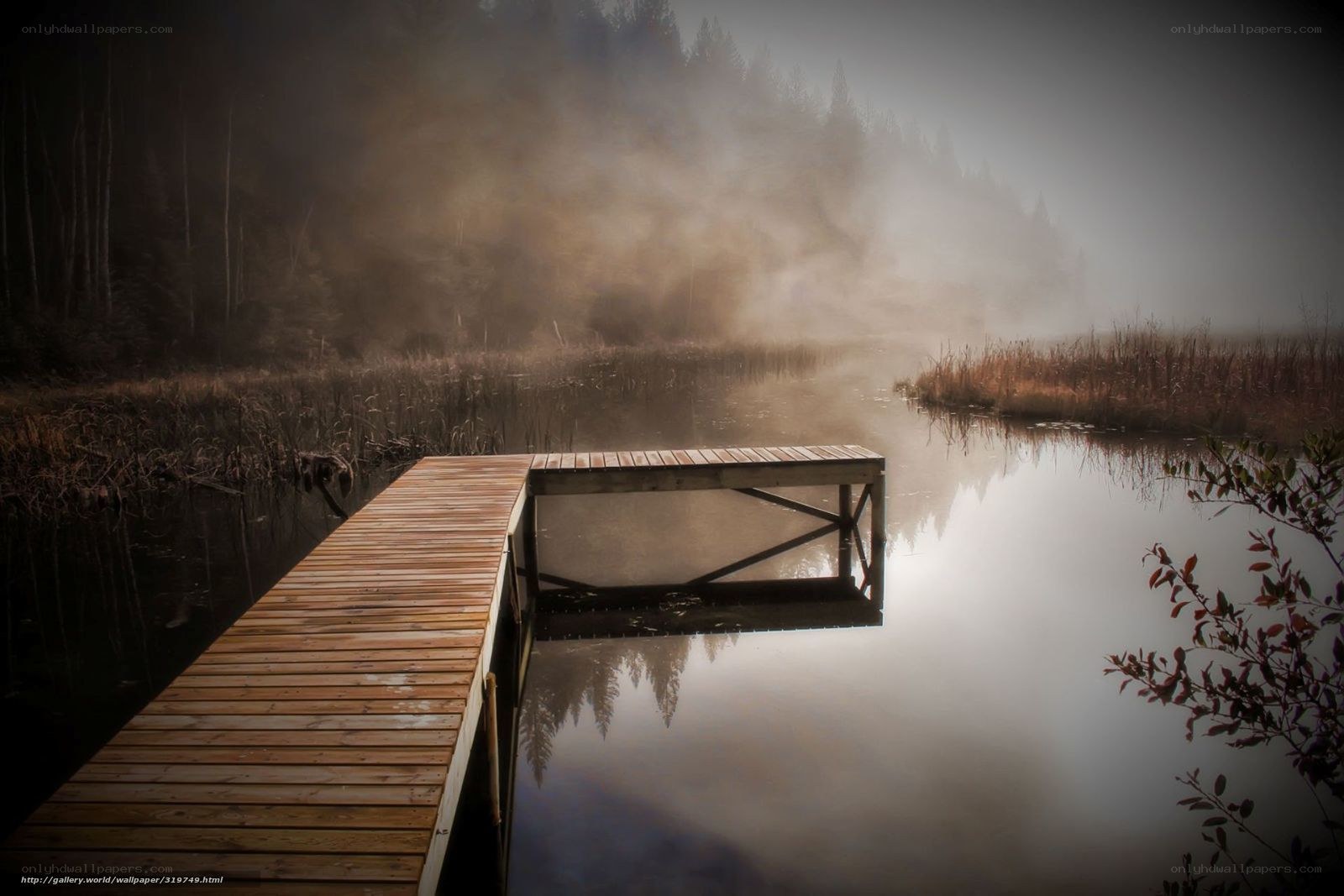 Misty lake dock at dawn