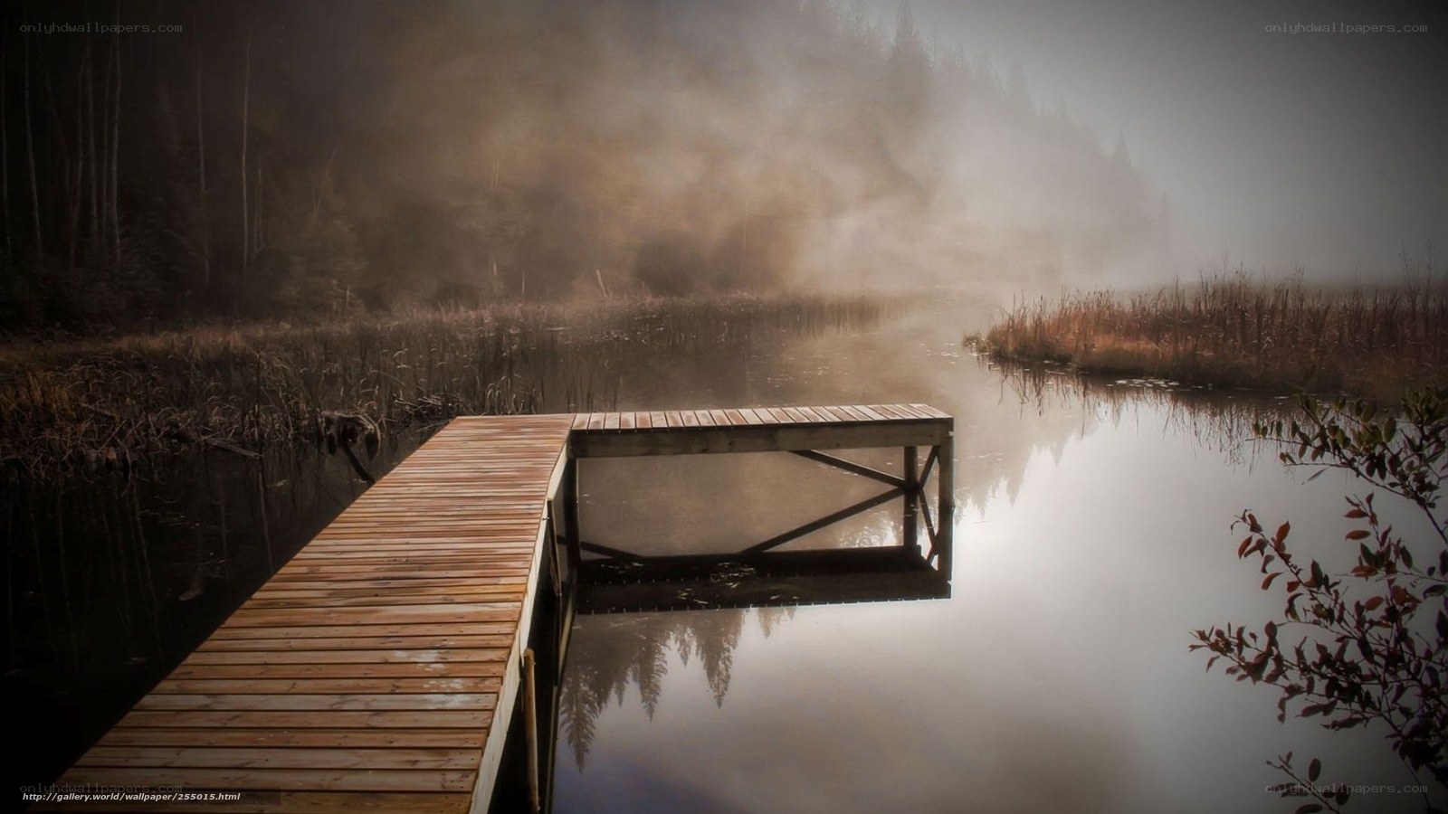 Misty lake dock at dawn