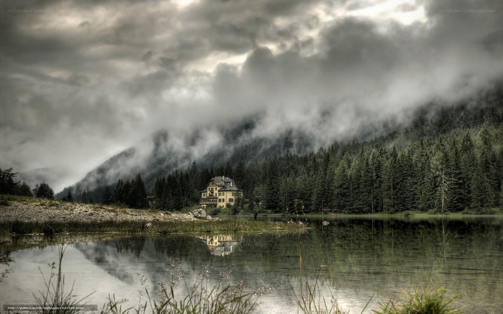 Misty lake house in forest