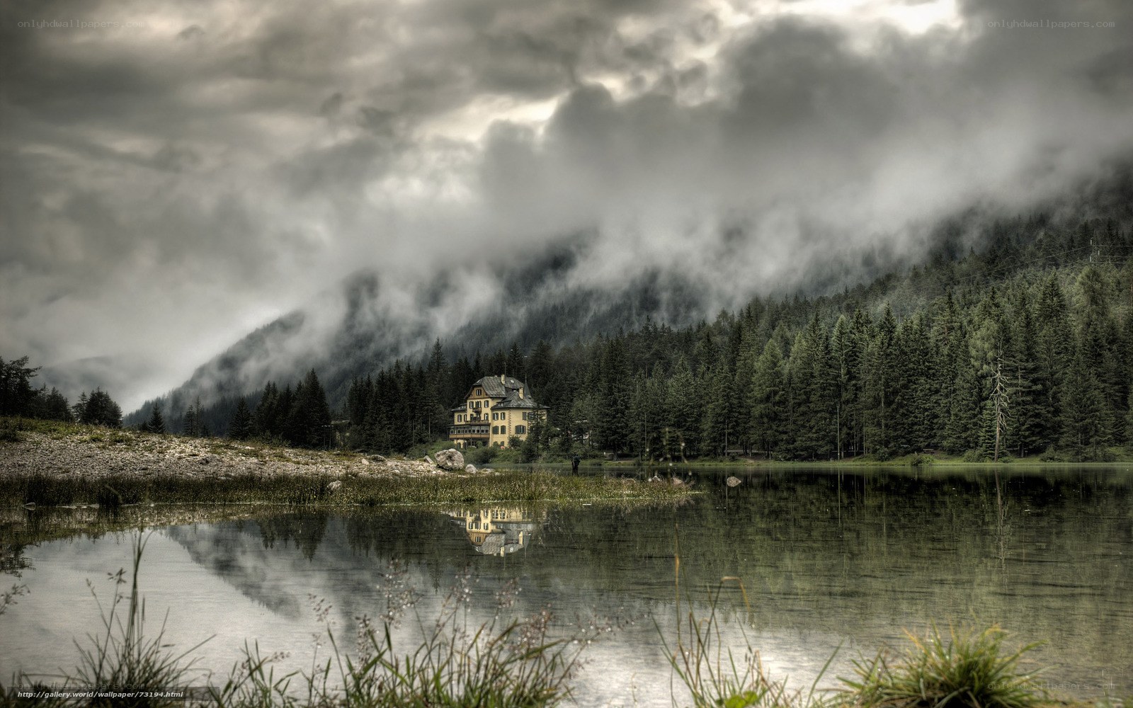 Misty lake house in forest