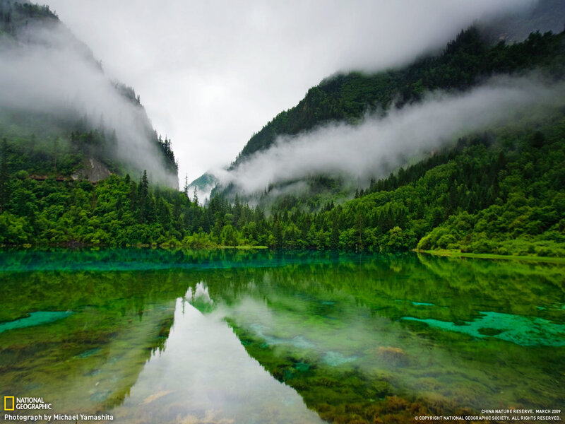 Misty lake in a forest valley