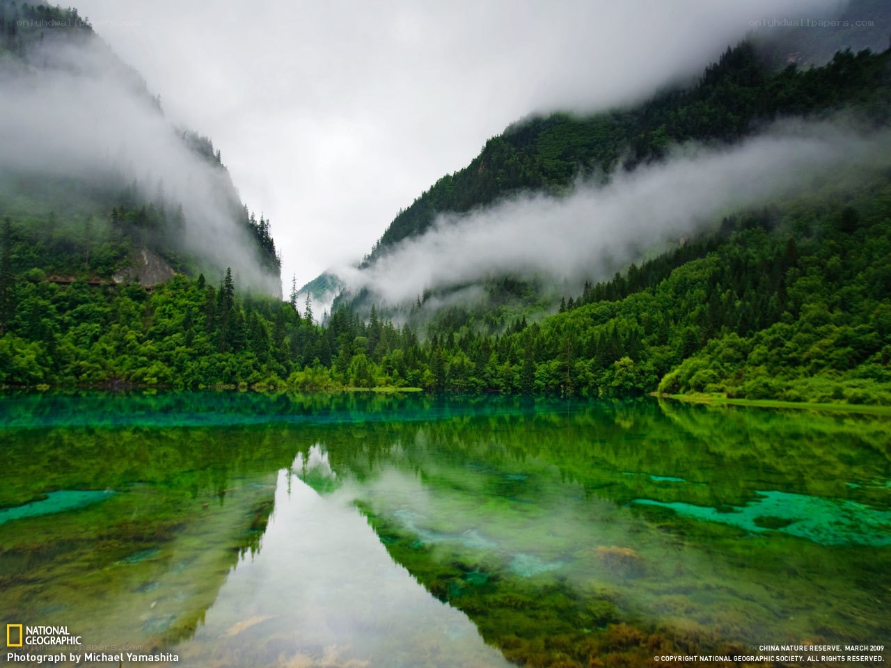 Misty lake in a forest valley