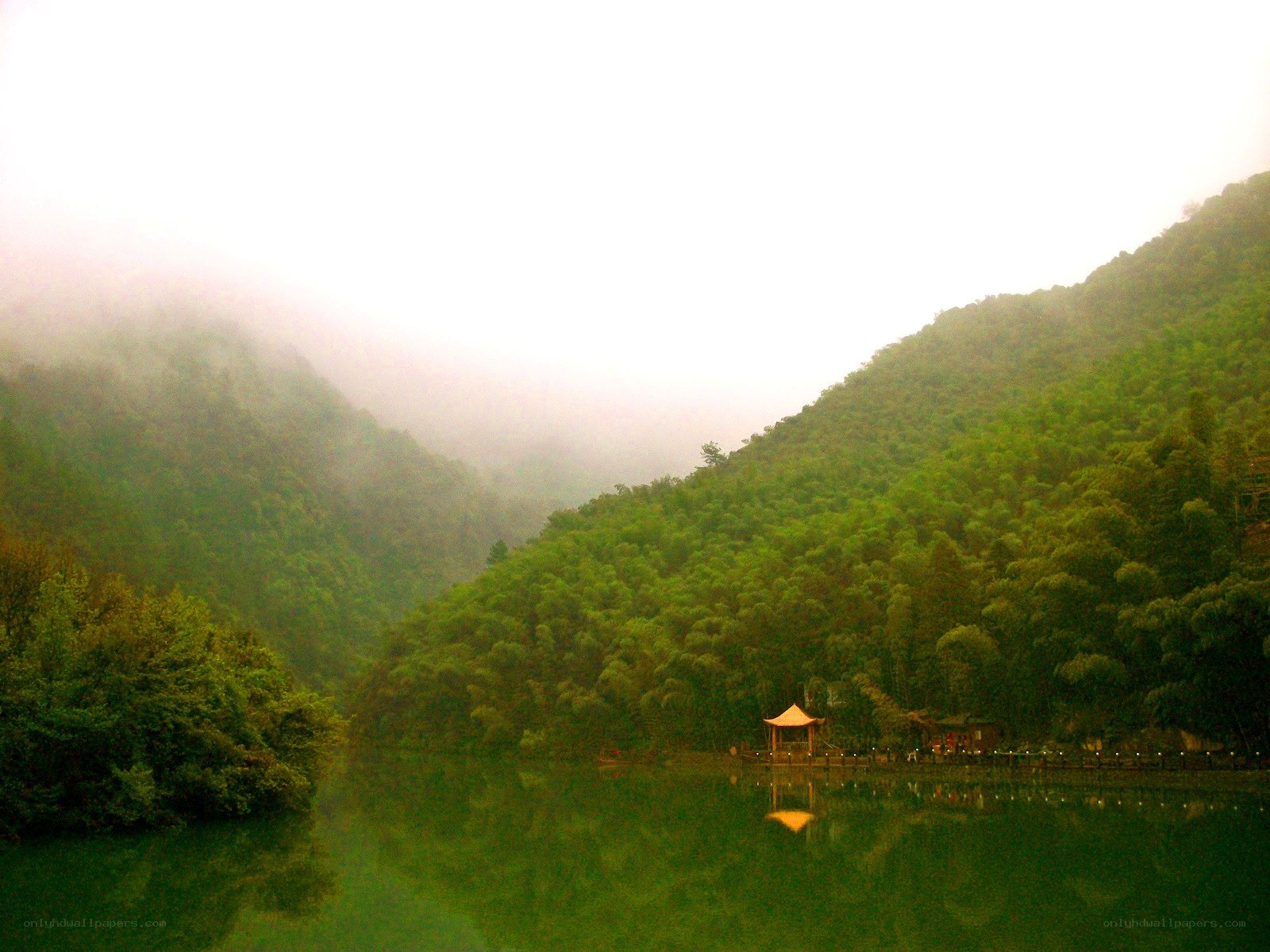 Misty lake in a forested valley