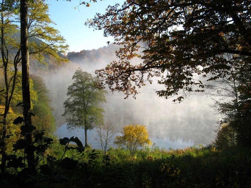 Misty lake in autumn forest