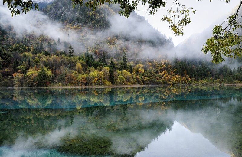 Misty lake in autumn forest