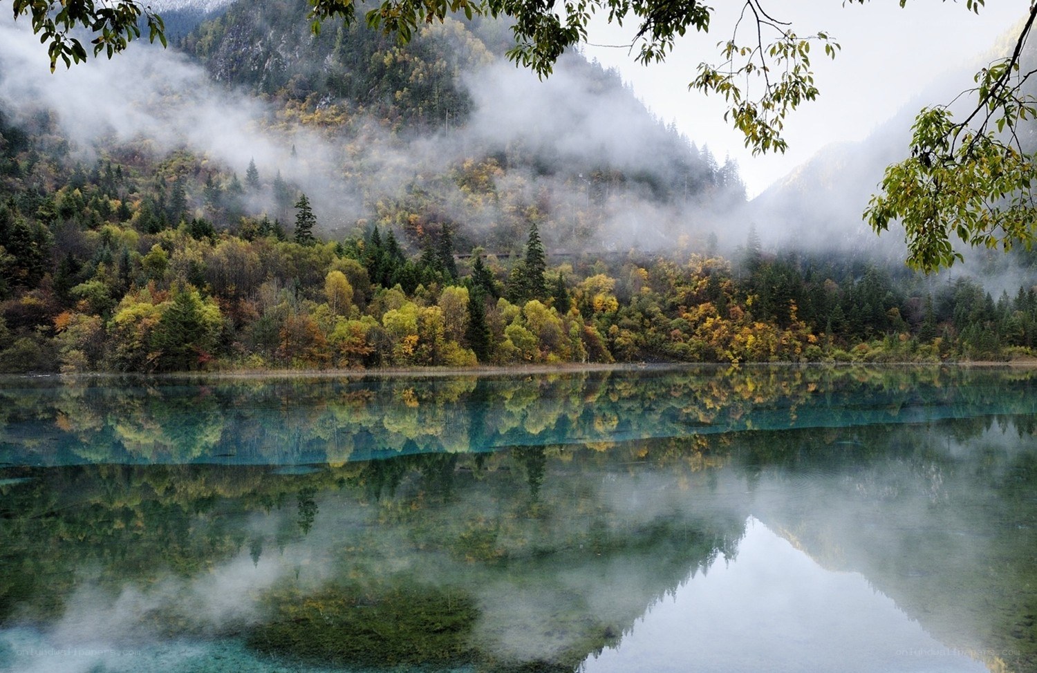 Misty lake in autumn forest
