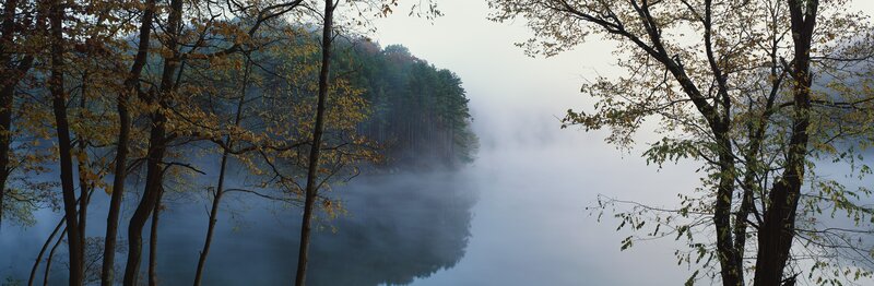 Misty lake in autumn forest
