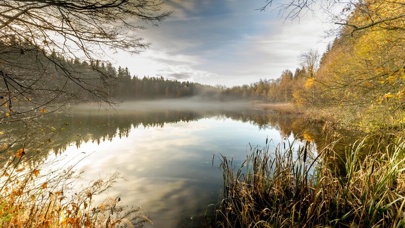 Misty Lake in Autumn