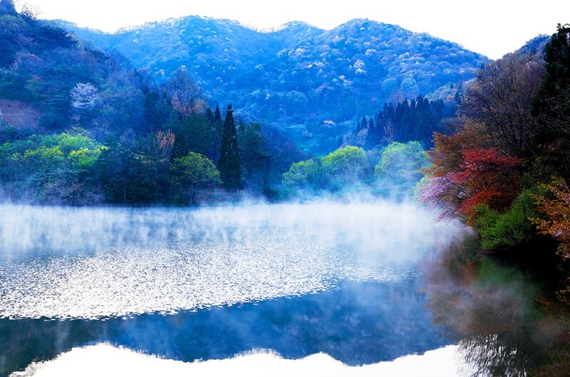 Misty Lake in Forest — Blue