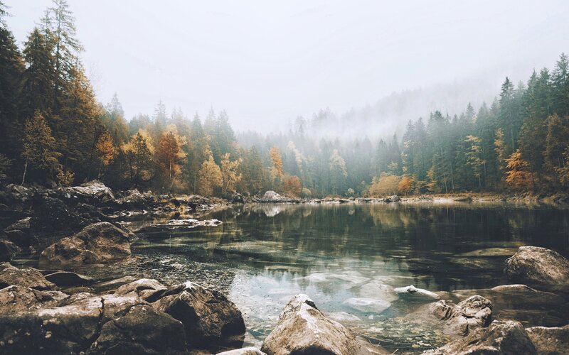 Misty Lake in Forest — Green, Serene, Autumn