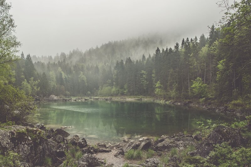 Misty Lake in Forest — Green, Serene, Morning, Photograph, Trees