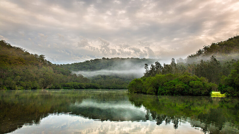Misty Lake in Forest — Green, Serene