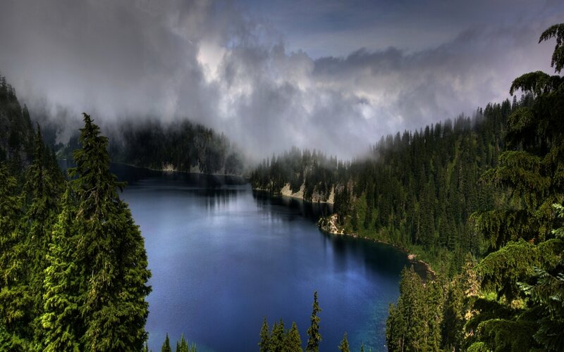 Misty lake in forested mountains