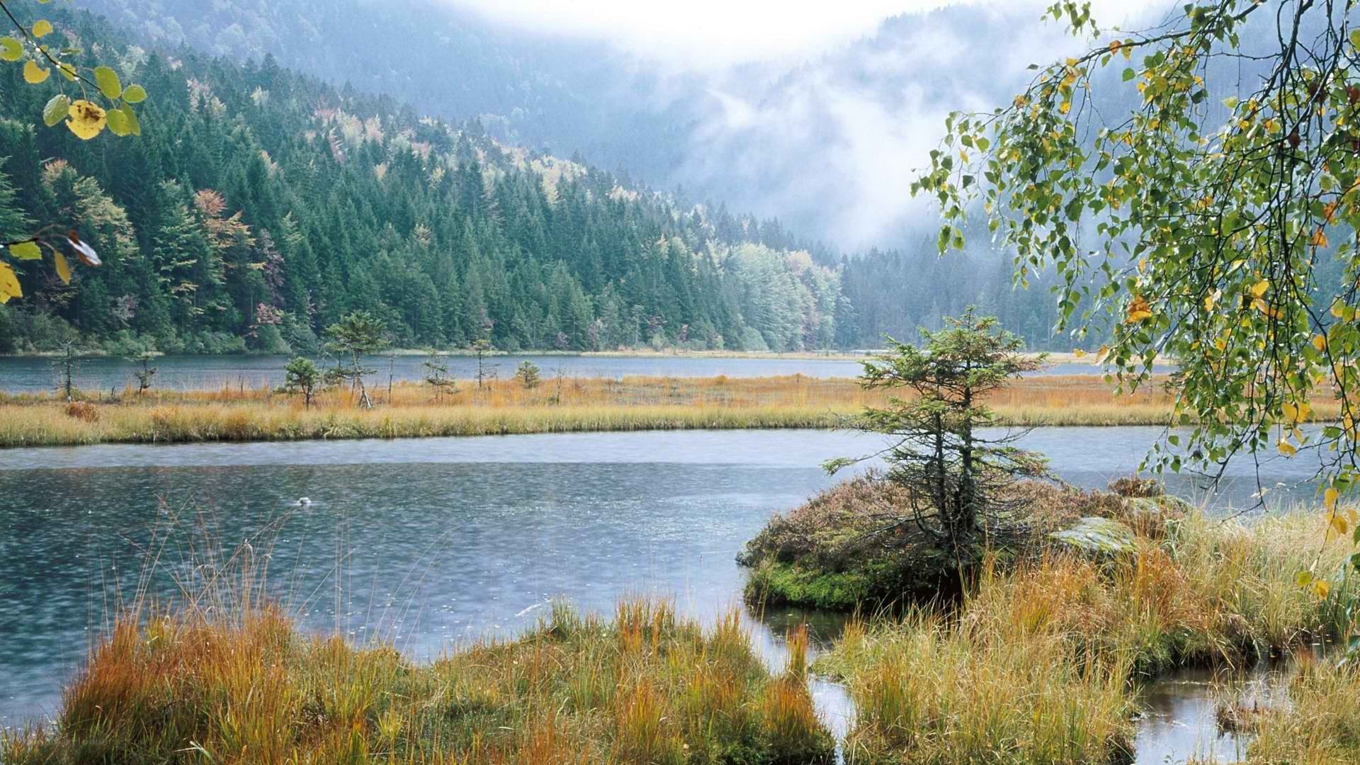 Misty lake in forested mountains