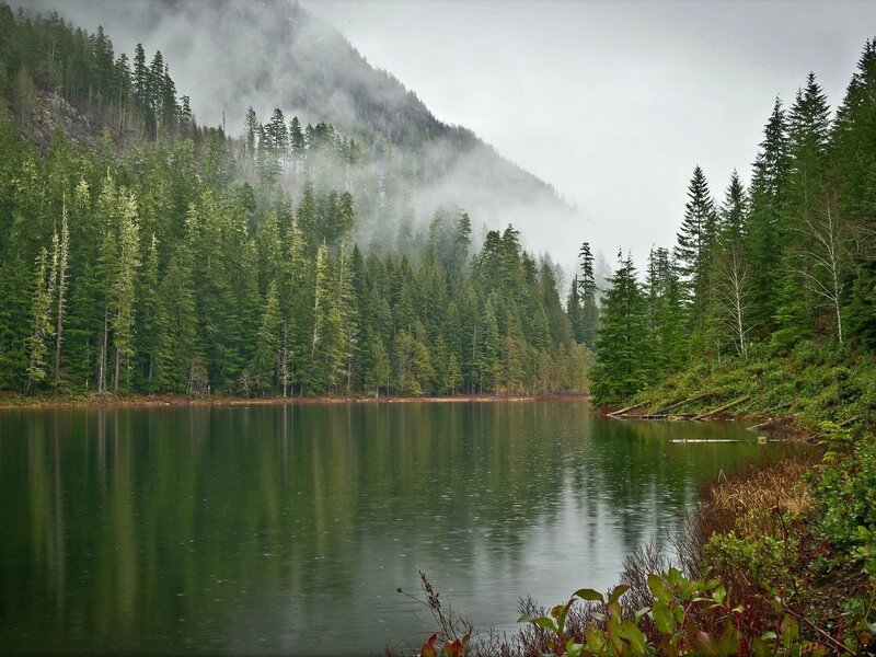 Misty lake in forested mountains