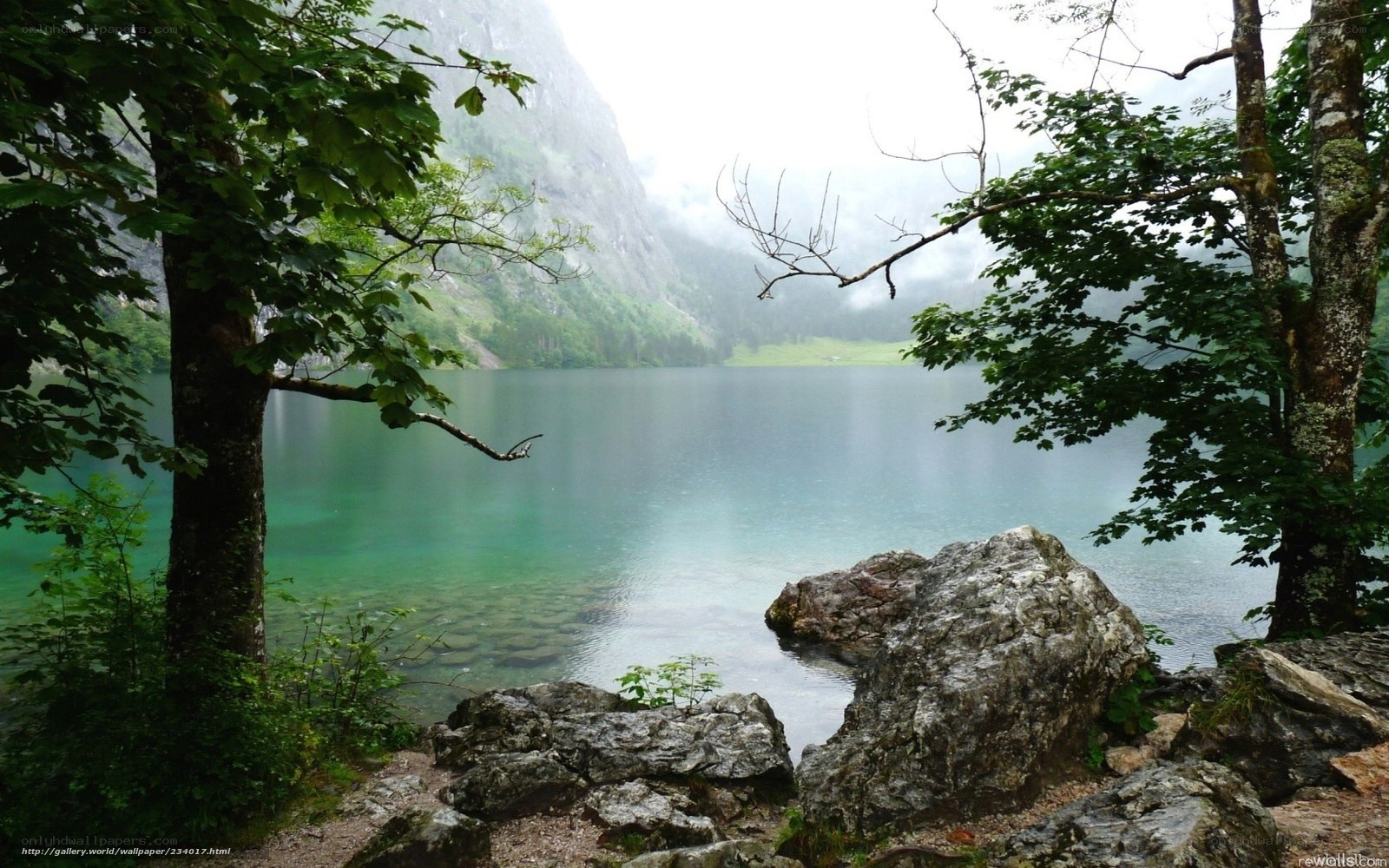 Misty lake in mountain valley