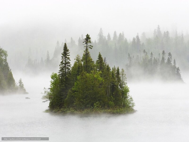 Misty lake island with evergreens