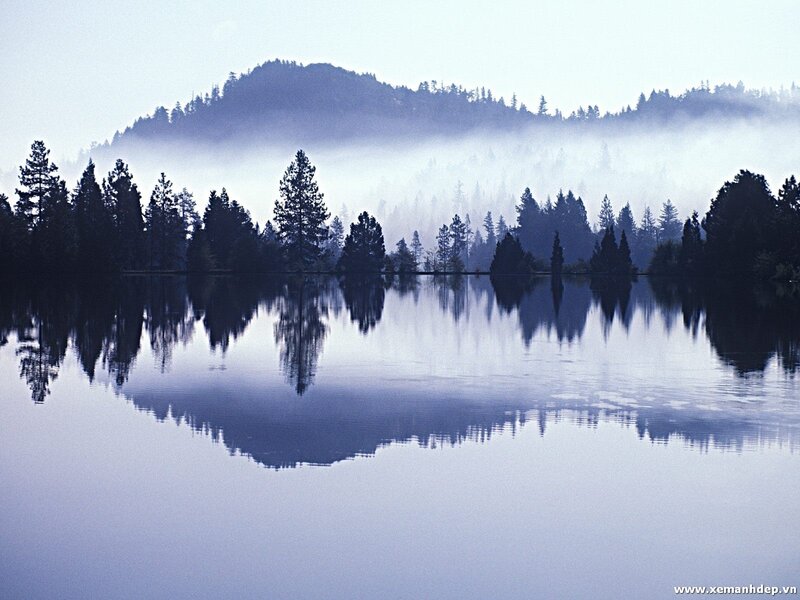Misty Lake Reflection