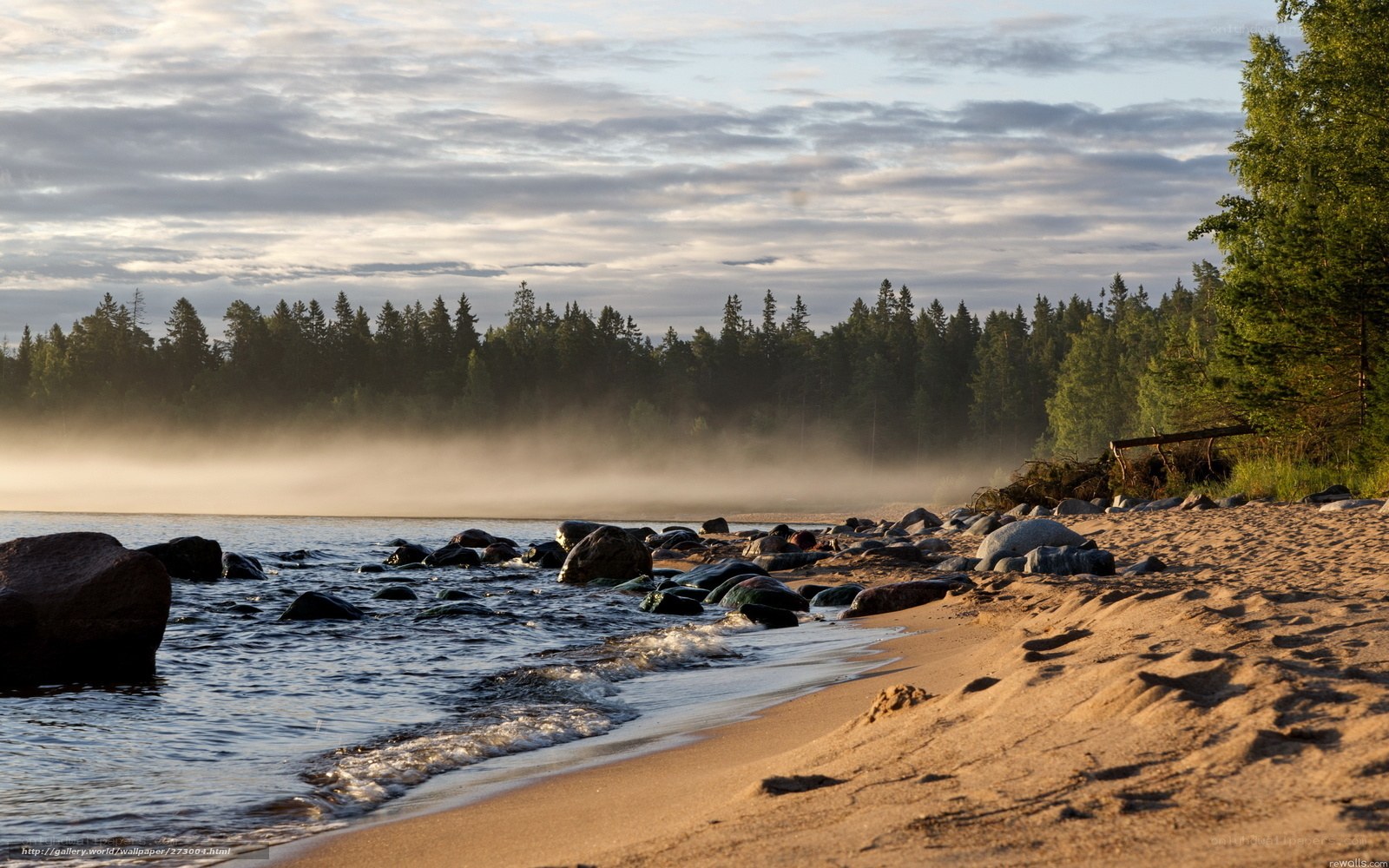 Misty lake shore at dawn