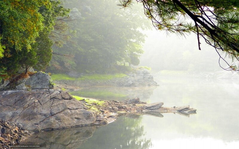 Misty Lake Shore — Green