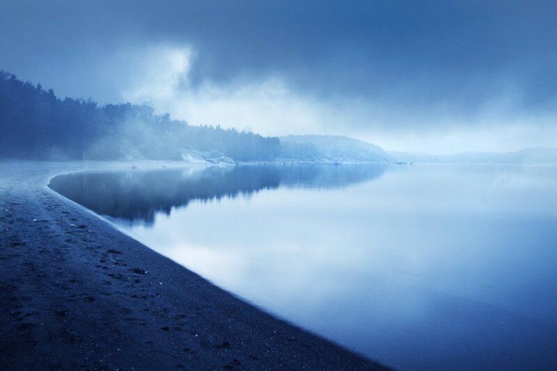 Misty Lake Shore
