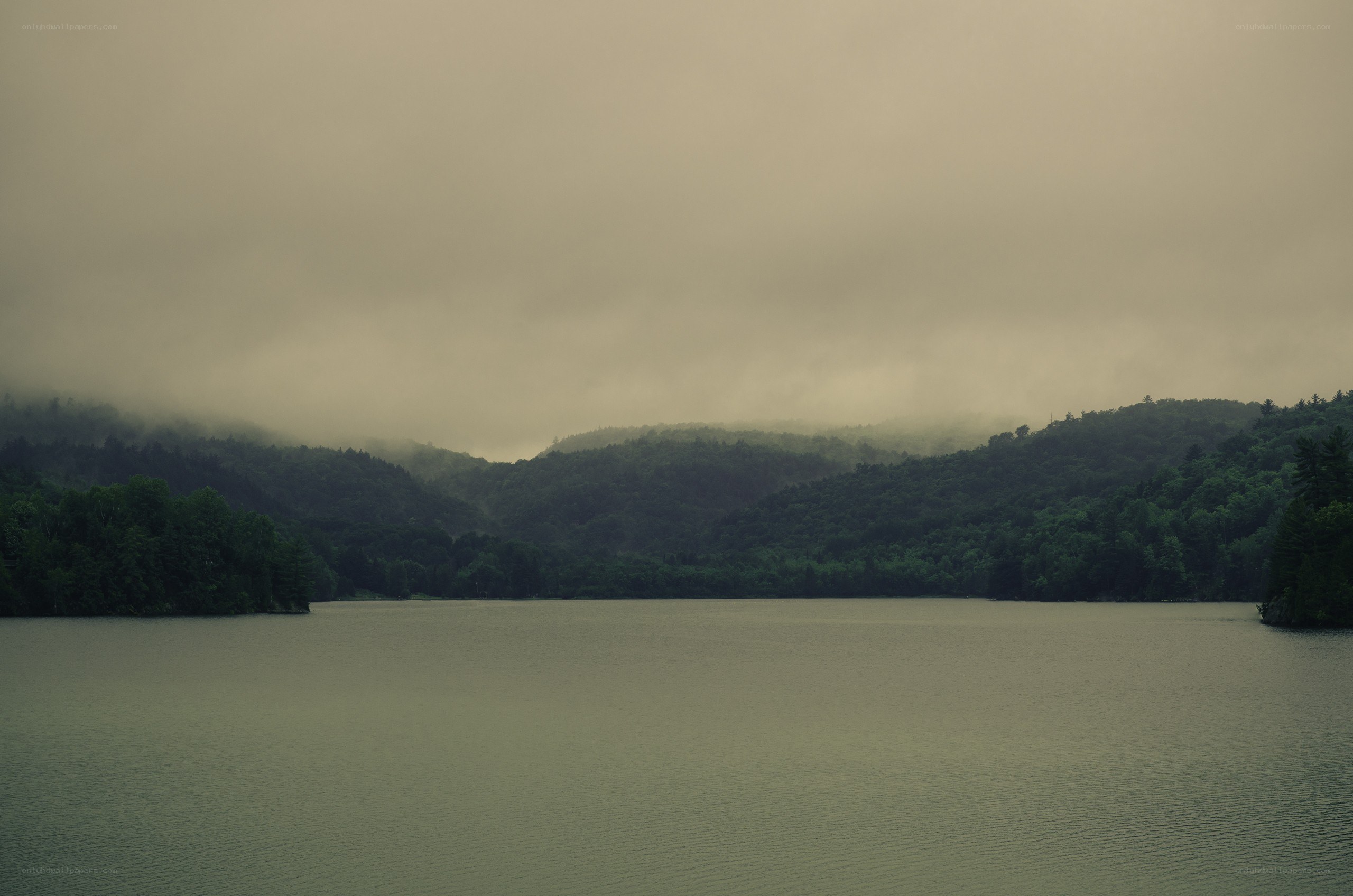 misty lake surrounded by forest