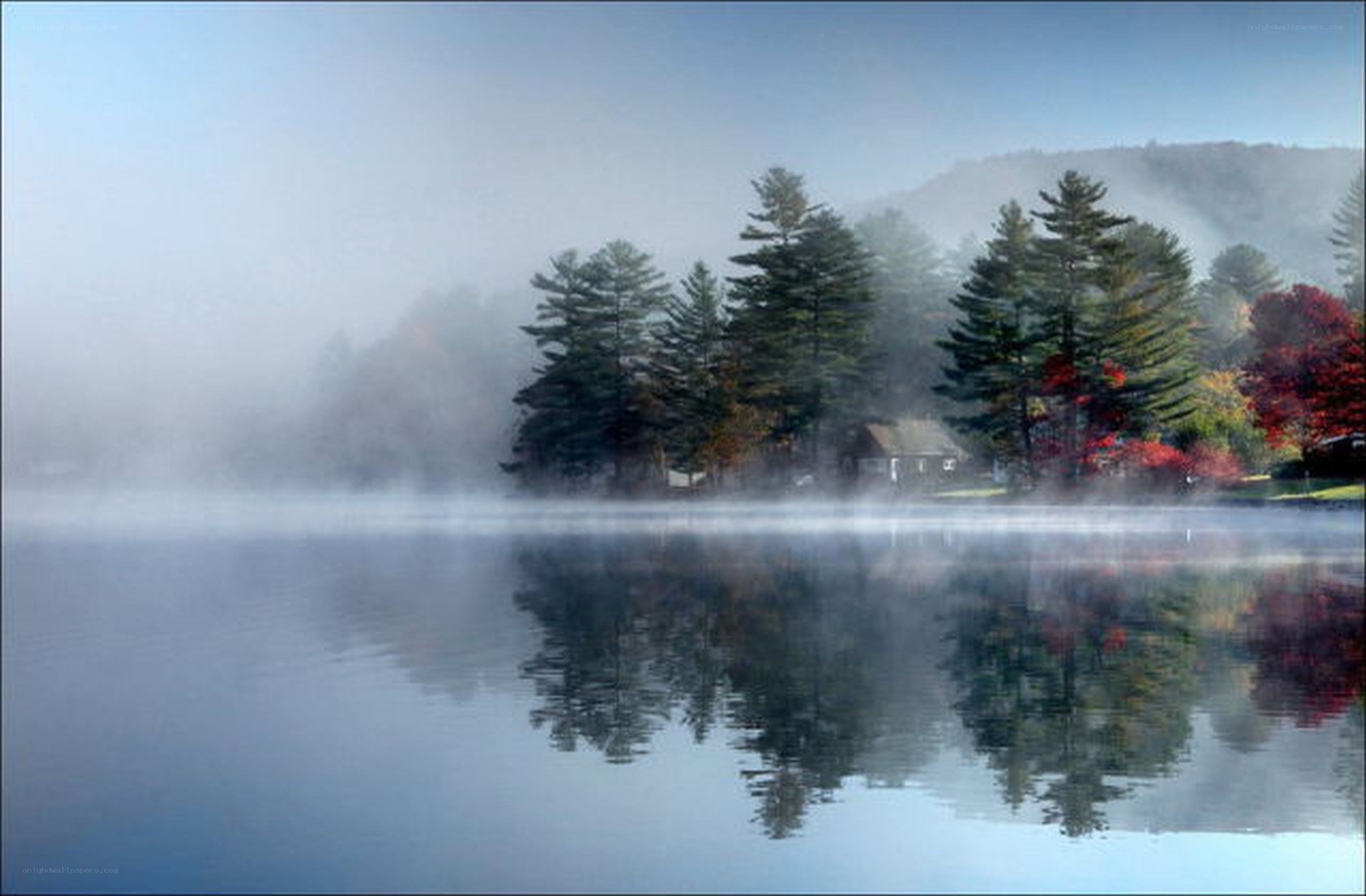 Misty lake with autumn trees