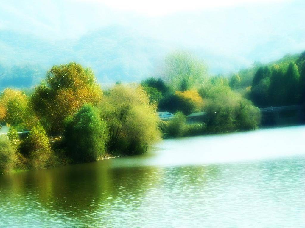 misty lake with autumn trees
