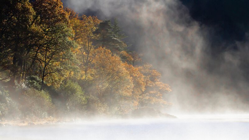 Misty Lake with Autumn Trees — White