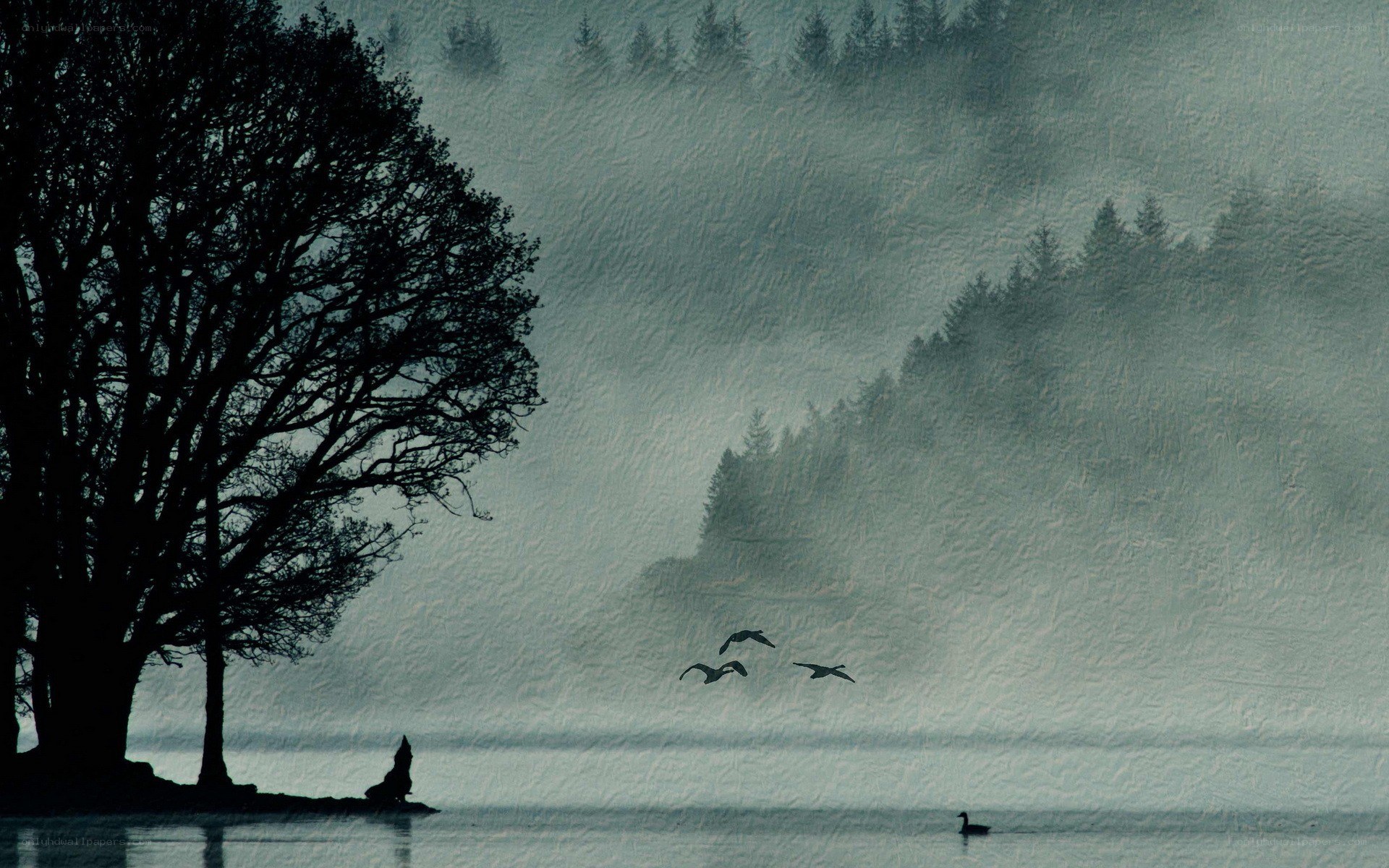 Misty lake with birds