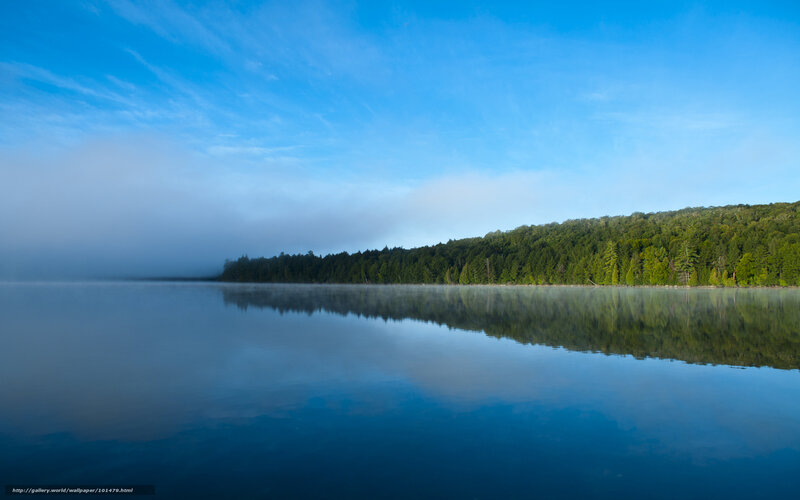 Misty Lake with Forest — Blue