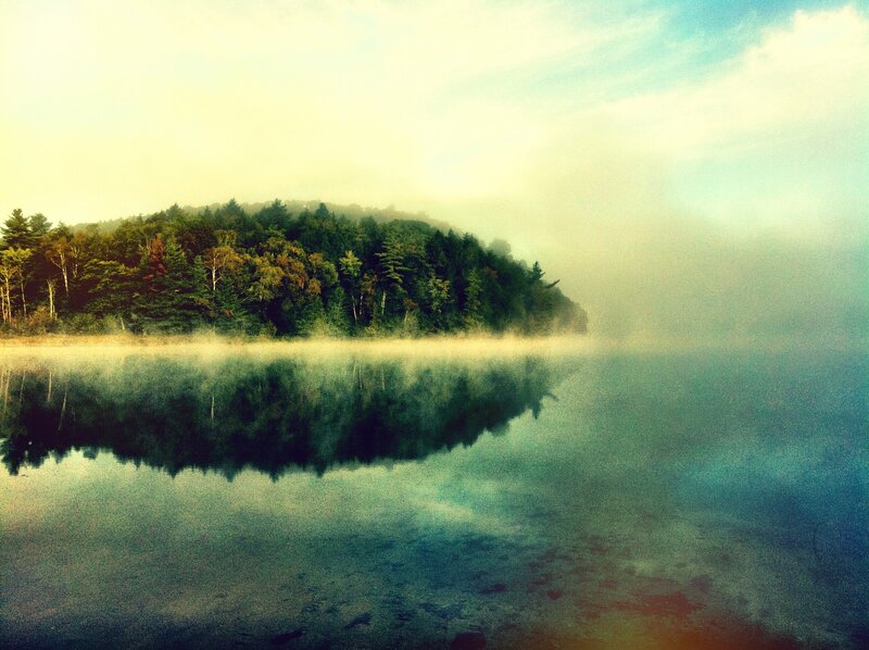 Misty Lake with Forest — Green, Serene