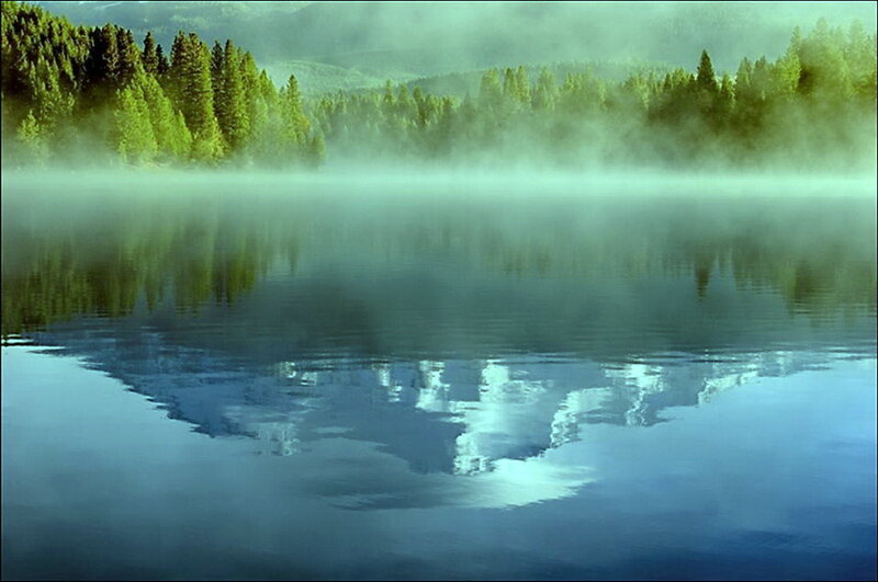 Misty Lake with Forest — Green