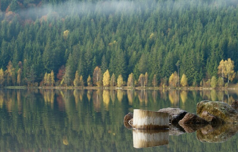 Misty lake with forest reflection