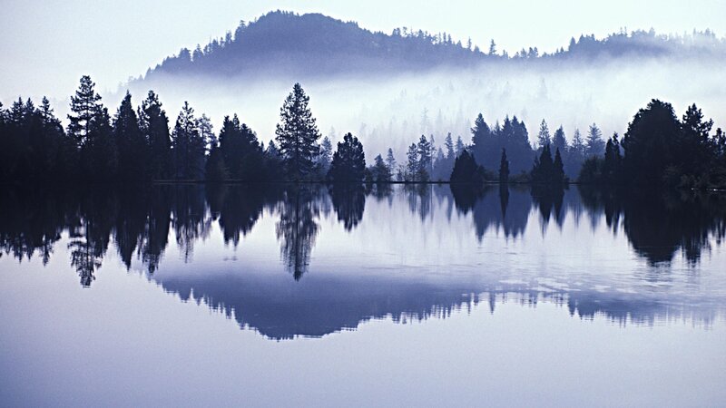 Misty lake with forest reflection