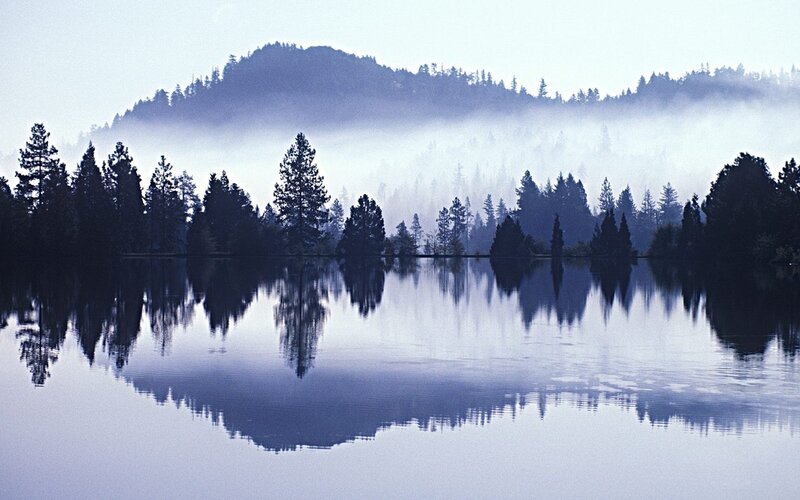 Misty lake with forest reflection