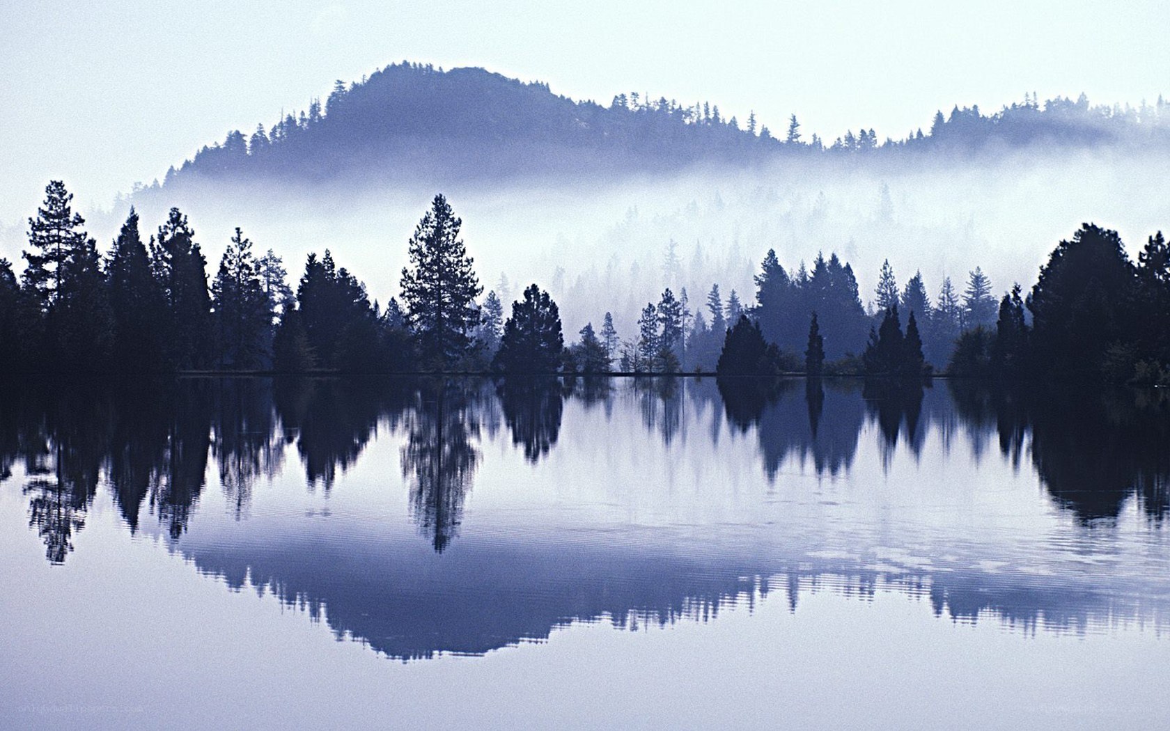 Misty lake with forest reflection
