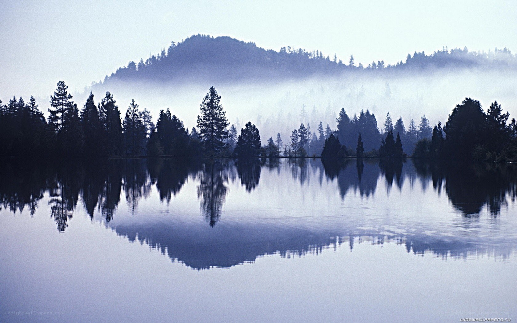Misty lake with forest reflection
