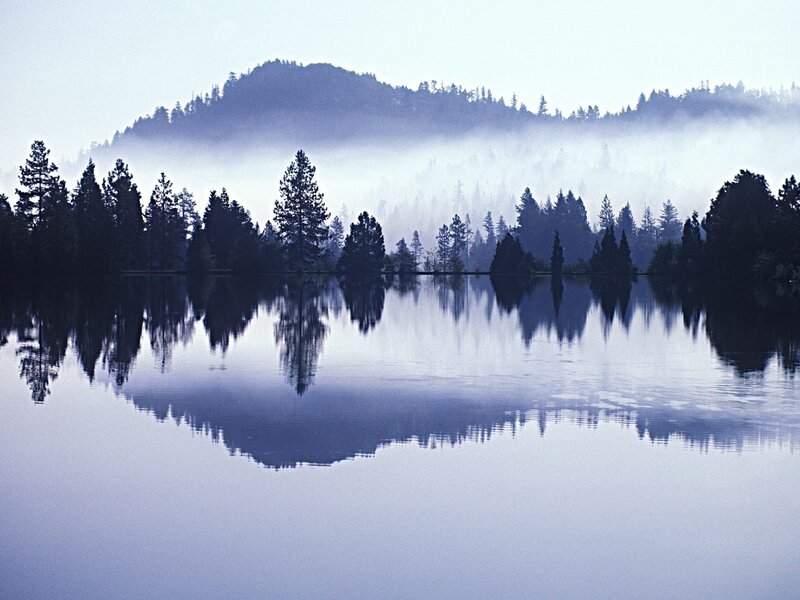Misty lake with forest reflection